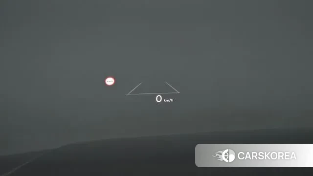 Hyundai Santa Fe (MX5) id 3327739 из Кореи 16