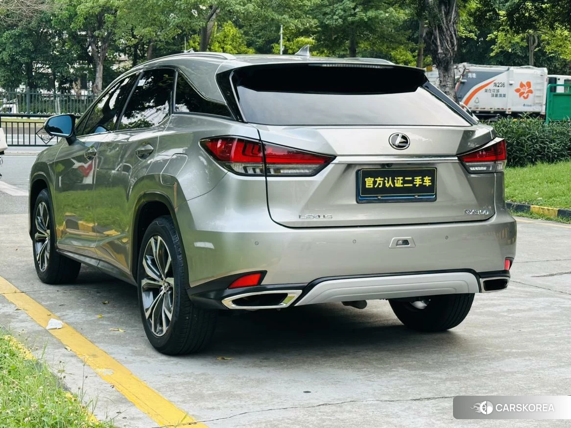 Lexus RX id 4512878 из Китая 17