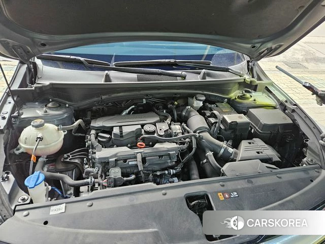 Kia Sportage 5th Generation id 3914561 из Кореи 16