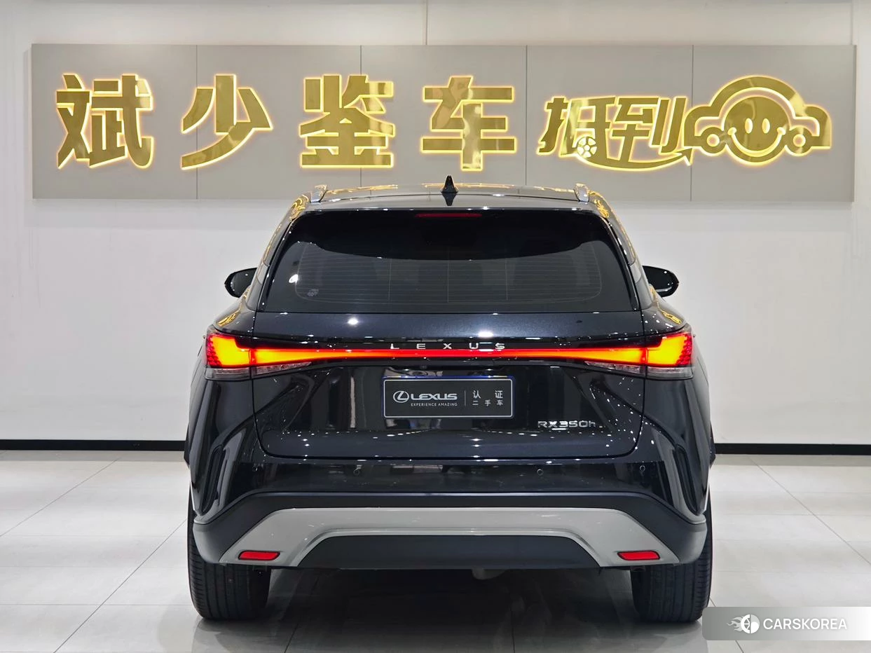 Lexus RX id 4486406 из Китая 8