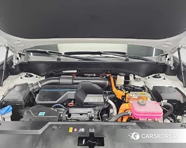 Hyundai Santa Fe (MX5) id 3776224 из Кореи 16