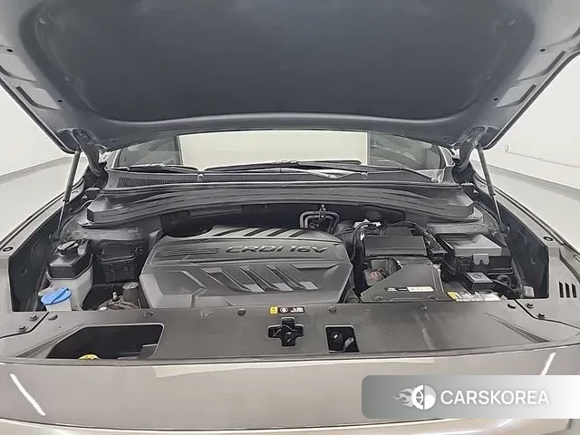 Hyundai Santa Fe TM id 3018888 из Кореи 15