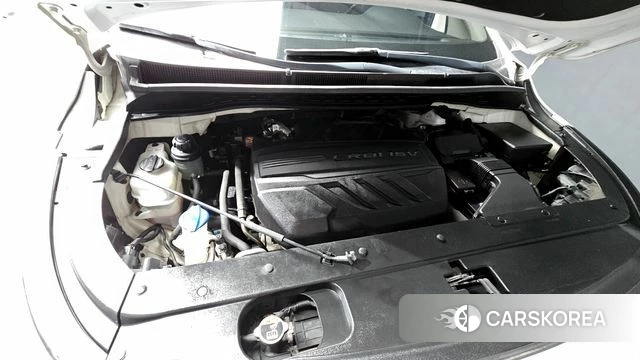 Kia The New Carnival id 4587301 из Кореи 26