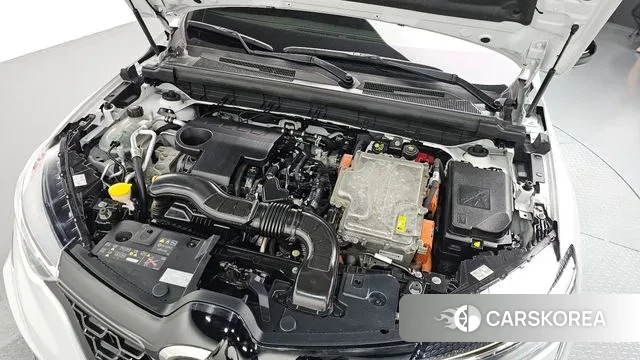 Renault Korea (Samsung) XM3 id 2993538 из Кореи 16