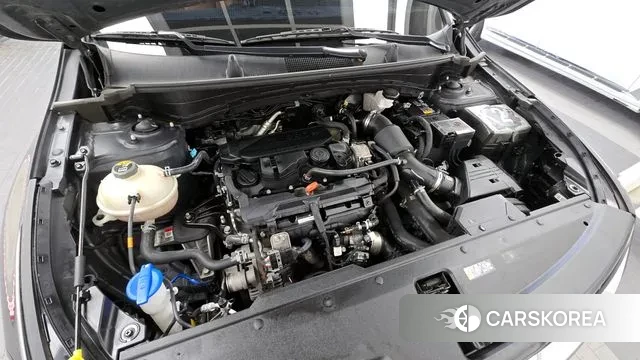 Kia Sportage 5th Generation id 3300200 из Кореи 16