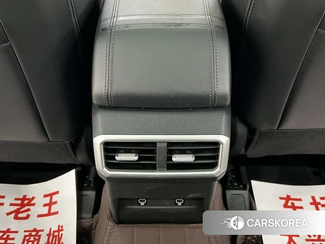 Kia Lion Platinum expands the world id 4262482 из Китая 7