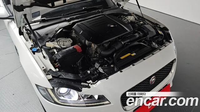 Jaguar XF (X260) id 2659287 из Кореи 16