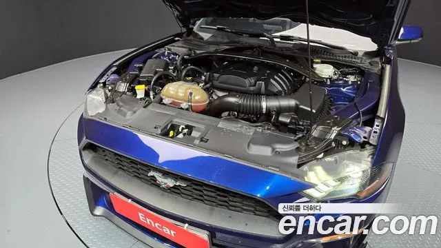 Ford Mustang id 2657710 из Кореи 16