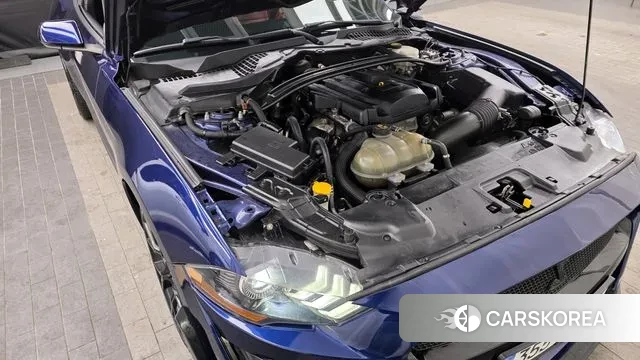 Ford Mustang id 3636447 из Кореи 16