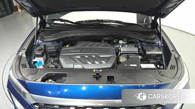 Hyundai Santa Fe TM id 4626041 из Кореи 30
