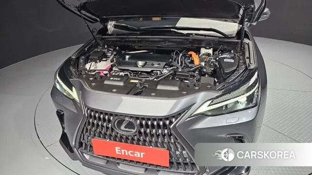 Lexus NX350h Second generation id 2959100 из Кореи 16