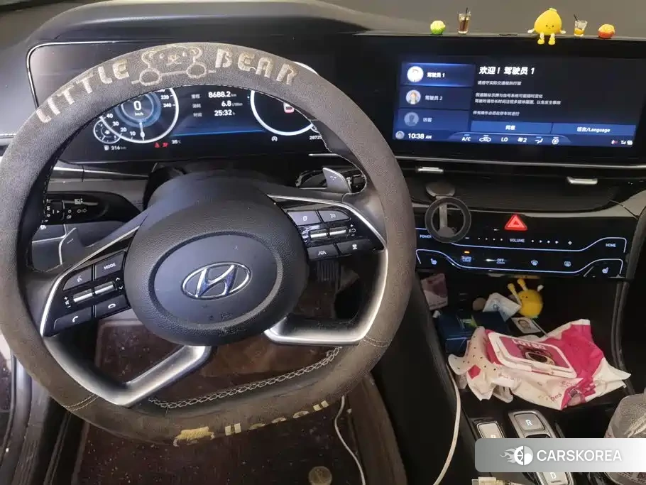 Hyundai Name picture id 4653921 из Китая 12