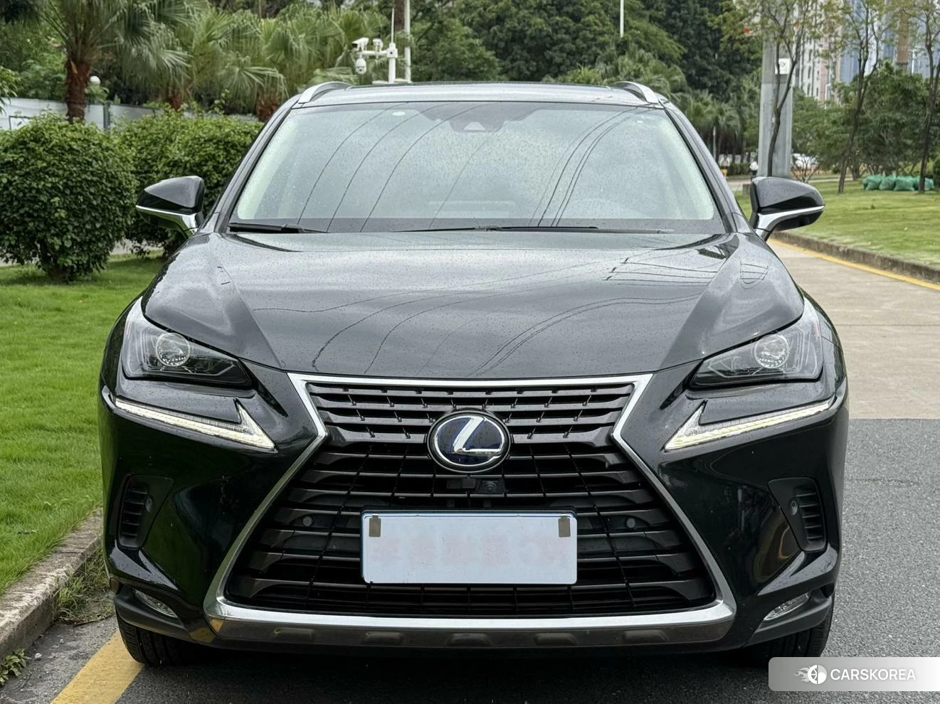 Lexus NX id 4454517 из Китая 10