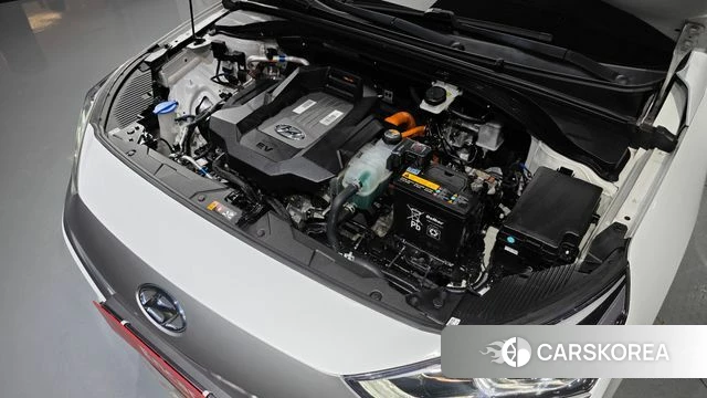 Hyundai Ionic Electric id 4525816 из Кореи 16