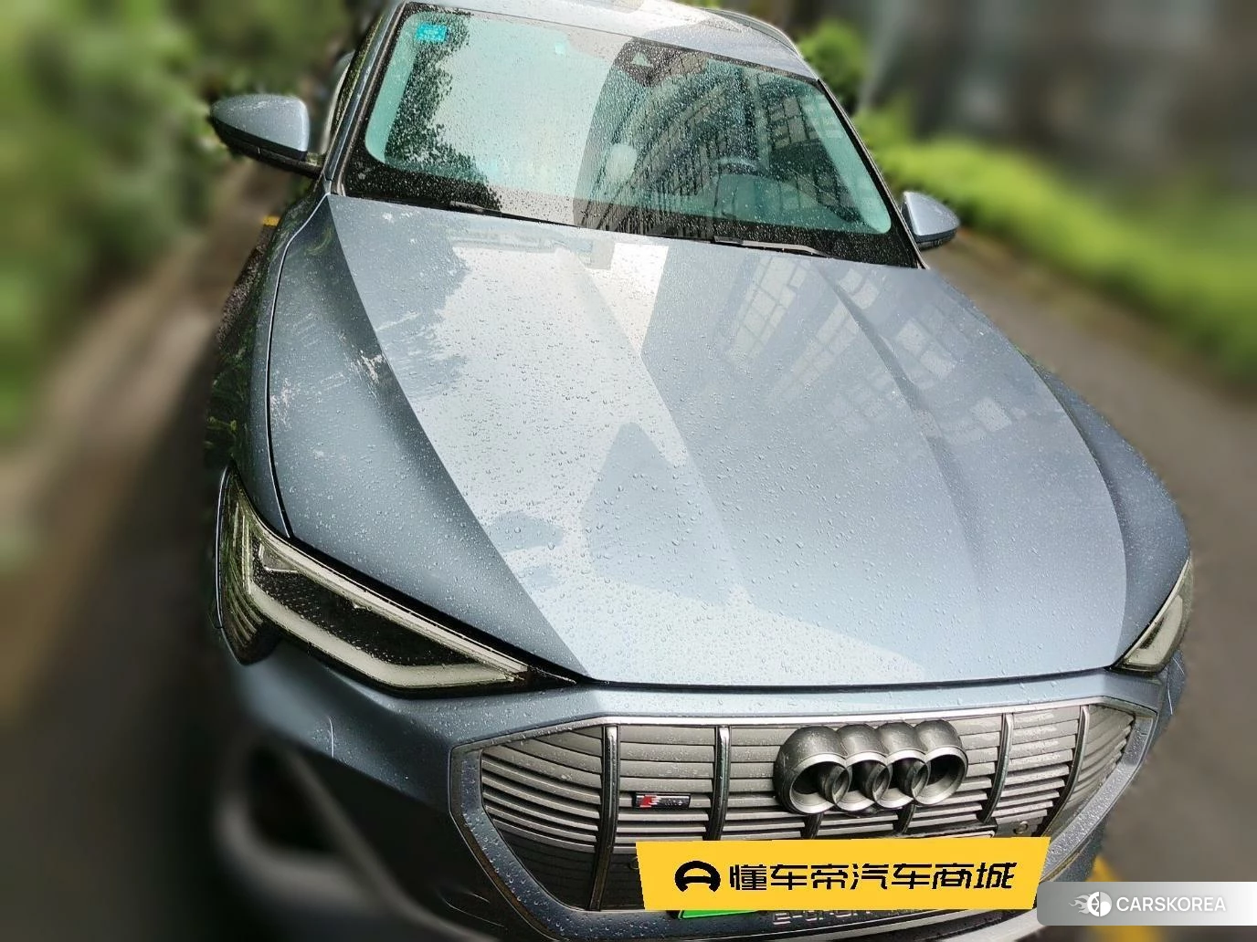 Audi e-tron id 4510812 из Китая 17