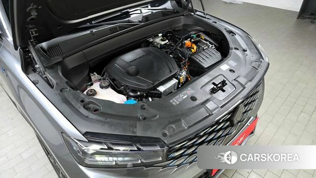 Renault Korea (Samsung) Grand Coleos id 4248480 из Кореи 29
