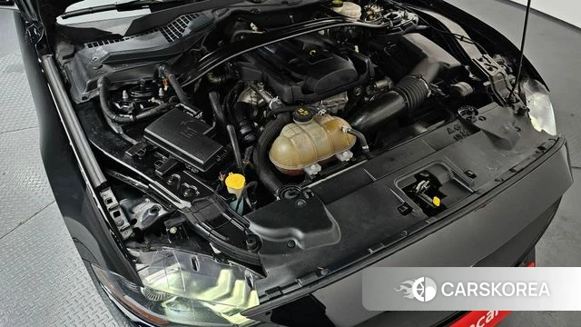 Ford Mustang id 3937067 из Кореи 16