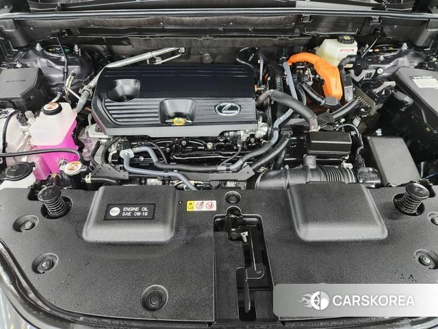 Lexus NX350h Second generation id 4870487 из Кореи 16