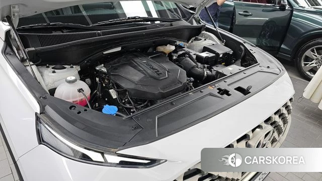 Hyundai The New Santa Fe id 4422463 из Кореи 30