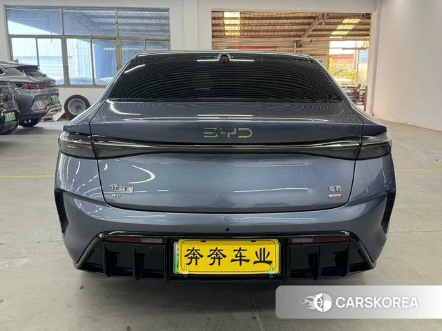 BYD seal id 3909028 из Китая 11