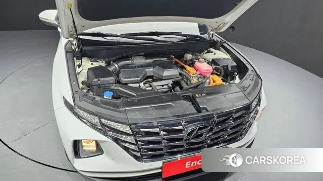 Hyundai Tucson Hybrid (NX4) id 3611662 из Кореи 16