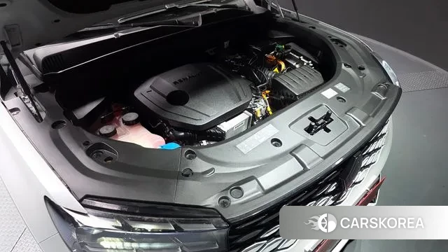 Renault Korea (Samsung) Grand Coleos id 3706624 из Кореи 16