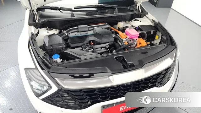 Kia Sportage 5th Generation Hybrid id 3426830 из Кореи 16