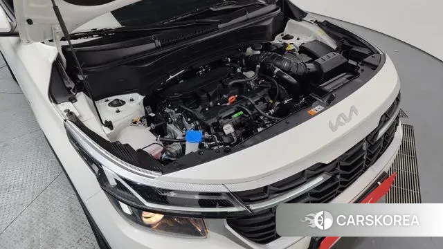 Kia The New Seltos id 3624477 из Кореи 16