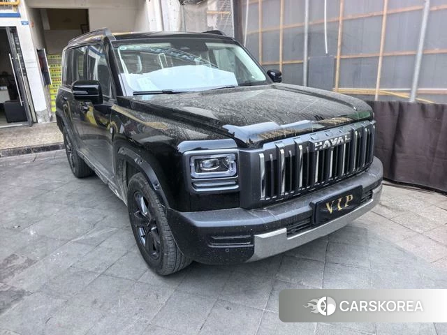 Haval Raptors Fuel Version 2026 Черный из Китая, фото 6