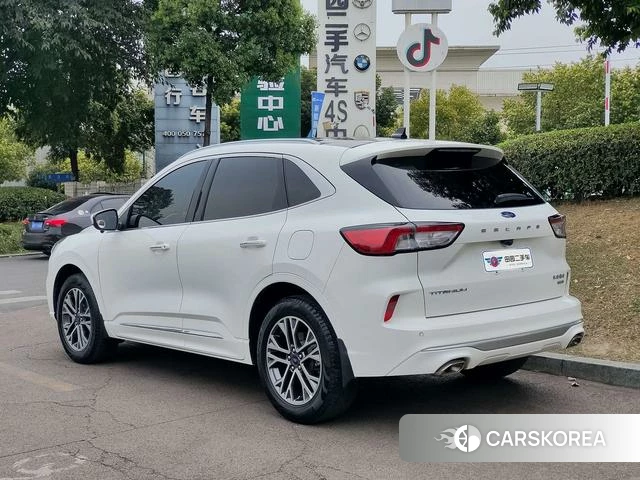 Ford Ruiji 2022 Белый из Китая, фото 6