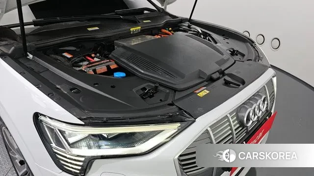 Audi e-Tron id 3264502 из Кореи 16