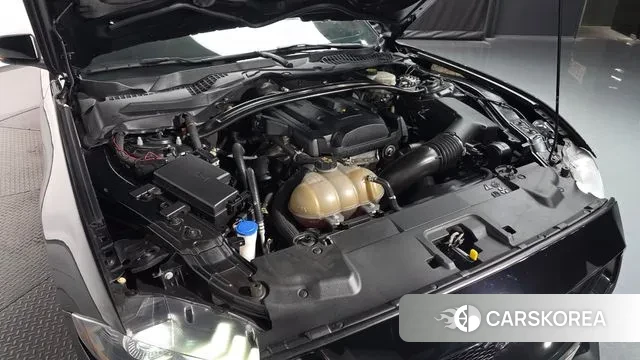 Ford Mustang id 3363114 из Кореи 16