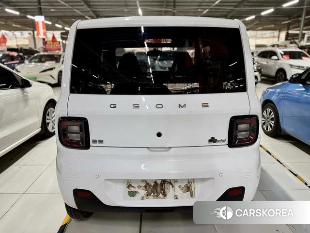 Geely Galaxy panda id 3993481 из Китая 7