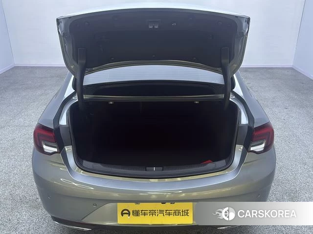 Buick Regal id 3908189 из Китая 16