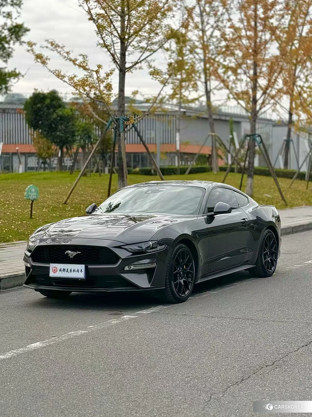 Ford Mustang 2020 Темно-серый из Китая, фото 6