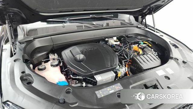 Renault Korea (Samsung) Grand Coleos id 3963521 из Кореи 16