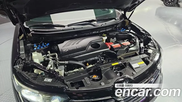 Renault Korea (Samsung) The New QM6 id 2674882 из Кореи 16