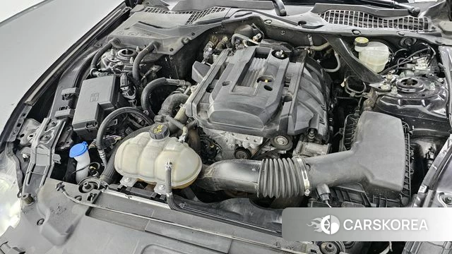 Ford Mustang id 4337507 из Кореи 26