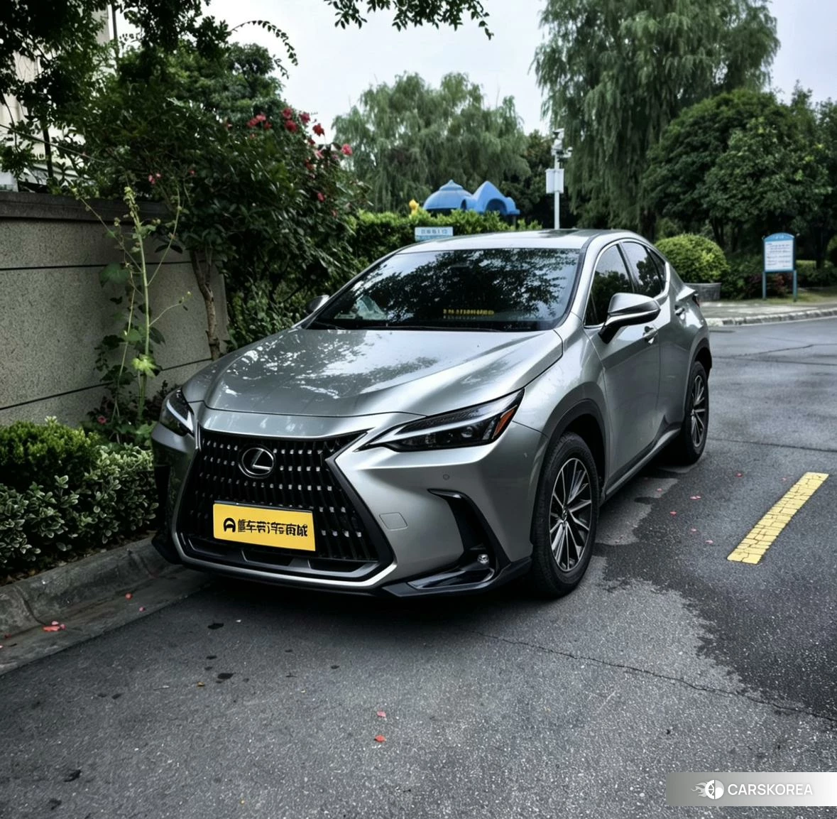 Lexus NX id 4514772 из Китая 13