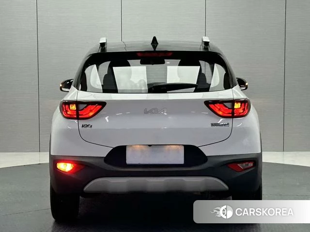 Kia Yi Ran id 4274256 из Китая 19
