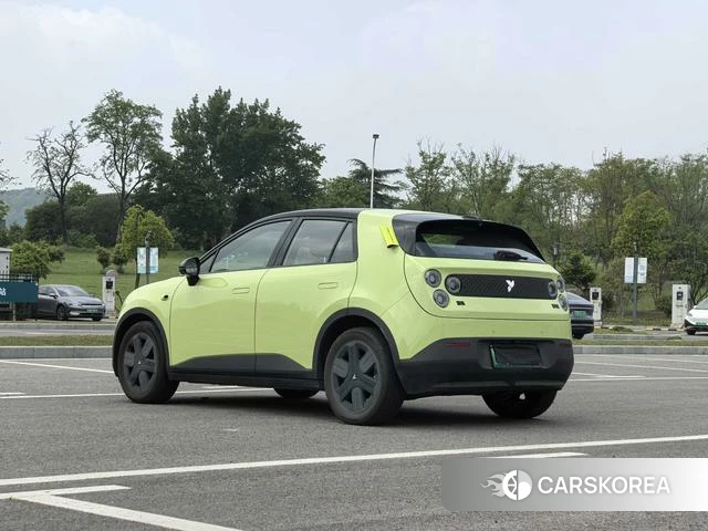 firefly firefly Unknown id 4182650 из Китая 10