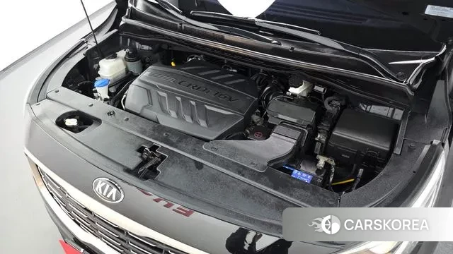 Kia The New Carnival id 3779096 из Кореи 16