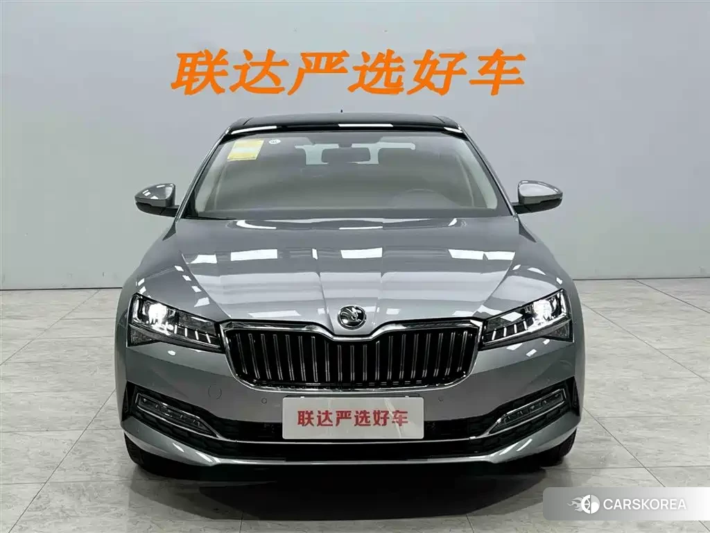 Skoda Speed pie id 4577562 из Китая 21