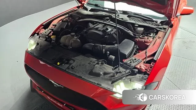 Ford Mustang id 3055258 из Кореи 16