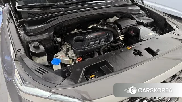 Hyundai Santa Fe TM id 3029128 из Кореи 16