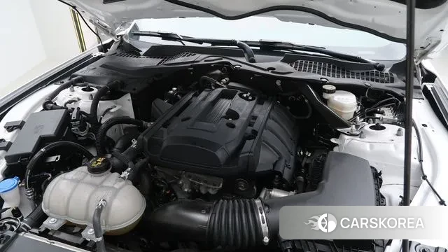 Ford Mustang id 3344287 из Кореи 16