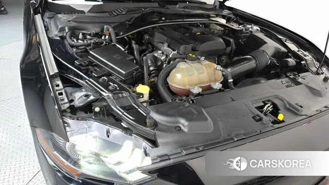 Ford Mustang id 3955555 из Кореи 16