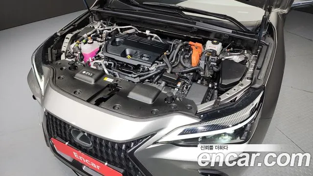 Lexus NX450h + 2nd generation id 2598510 из Кореи 16