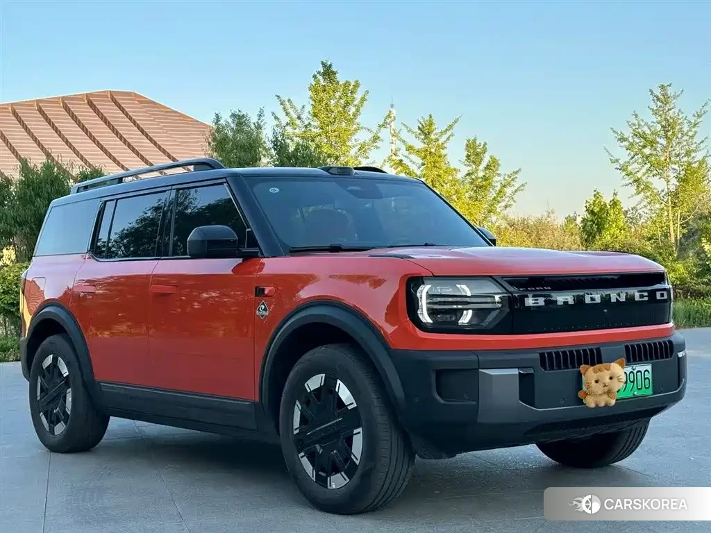 Ford Smart Fun Horse id 4545974 из Китая 7