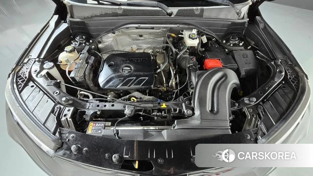 Chevrolet (GM Daewoo) Trailblazer id 4905538 из Кореи 32